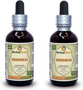 Grindelia (Grindelia Camporum) Tintura, Extrato Líquido de Ervas Secas (Nome: HerbalTerra, Proudly Made in USA) 2x2 fl.oz (2x60 ml)