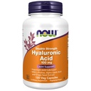 NOW Alimentos Suplementos, Ácido Hialurônico 100 mg, Dupla dosagem com L-Prolina, Ácido Alfa Lipóico e Extrato de Sementes de Uva, 120 Cápsulas Veg