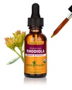 Herb Pharm Certified Organic Rhodiola Root Extract for Energy, Endurance and Stamina, Alcohol-Free Glicerite, 1 Once