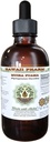 Muira Puama Alcohol-Free Liquid Extract, Organic Muira Puama (Ptychopetalum Olacoides) Glicerite Natural Herbal Supplement, Hawaii Pharm, USA 4 oz
