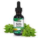 Resposta da natureza Nettle Leaf 1oz Extrato □ Suppot de próstata □ Suplemento de ervas de folha verde escura concentrada □ Não-GMO, Kosher, Gluten-free, & Alcohol-free