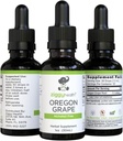 Premium Orgânico Oregon Root Tintura - Extrato Alcohol-Free, 1 oz Suporte de ervas