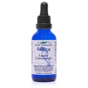 Eidon líquido concentrado mineral de sílica - Suplemento de sílica para cabelos, pele e unhas, gotas para apoiar a produção de colágeno, Ajuda a gerenciar o cálcio, Sem açúcar adicionado - 2 oz