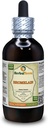 Tintura de bromelaína (Ananas Comosus), extracto líquido em pó seco (Nome da marca: HerbalTerra, produzida orgulhosamente nos EUA) 4 fl.oz (120 ml)