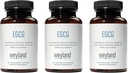 EGCG Extrato de chá verde 400 mg - Suplemento antioxidante Vegan, Glúten grátis 100 Cápsulas vegetarianas (Pacote de 3)