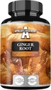APOLLO'S HEGEMONY Ginger Root 500 mg, Extrato contém gingerols 5%, 90 cápsulas Vegan, suprimentos de 3 meses, suplementos de ervas Ginger para o conforto digestivo e suporte imunológico
