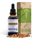 Echinacea Raiz USDA Tintura Orgânica Extrato Livre de Álcool, Drops de Ervas de Alta Potência, Saúde do Sistema Imune Feito a partir de 100% certificado Echinacea Echinacea Raiz (Echinacea Purpurea) 2 onças