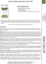 HormônioSynergy RetzlerRx® Brain Calm ES - Ultimate Support for Calmness & Relaxation - L-Theanina (Suntheanina®) - TRAACS® Albion® Quelated Minerals - GABA - 5-HTP - L-Taurine - 120 V-Caps