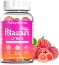 Suplemento de potássio Gummies 1000mg - Suplemento de potássio para Cães de Perna, Músculo e Saúde do Coração - Suplemento de 1 mês (60 contagem)