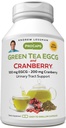 Andrew LESSMAN Green Tea EGCG & Cranberry 180 Cápsulas - Standardizado para Catechins e Polifenóis. Ajuda a proteger tecidos, órgãos e sistemas em todo o corpo. Suporte poderoso anti-oxidante