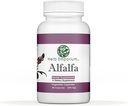 Herb Emporium Alfalfa (Medicago Sativa L, Alpalpa) Cápsulas 90 Cápsulas Vegetais (340 mg) Suplemento de ervas para digestão saudável (Pacote de 1)