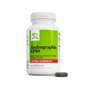Terry naturalmente Andrographis EP80 Força extra - Saúde do cérebro e apoio imunológico - Suplemento de saúde conjunta para a Mobilidade Ajuda - Vegan Adaptogen Suplemento para energia e suporte de fígado - 60 Cápsulas