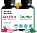 Atlantic Naturals Sea Moss Superfood Bundle - Sea Moss com beterraba Raíz e espirulina Cápsulas - Suporte de Defesa, Fluxo de Sangue, Saúde Conjunta e Ferro - 240 Cápsulas (2 x 120 ct)