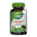 Mangueira da natureza Clorofrescos Clorofila Gummies, Suporta Detox saudável da pele e do corpo *, Desodorante interno *, Fruta de Orchard Flavored, 60 Gummies