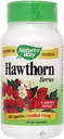 Naturezas Caminho Hawthorn Berry