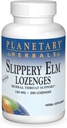 HERBAIS PLANETÁRIOS Slippery Elm Lozenges, Sem sabor, 200 Contagem