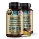 Shilajit Pure Himalayan Cápsulas Orgânicas com Irish Sea Moss, Ashwagandha, Cobre, Raiz de Beterraba - Fulvic Acid Trace Suplemento para Homens e Mulheres - 90 Conde, Não-GMO, Gluten-Free