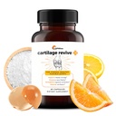 UpWellness Cartilage Revive + Suplemento de suporte conjunto para homens e mulheres com colagénio tipo II para articulações - D-Glucosamina Sulfato, HSH, Vitamina D3, Vitamina C e Mais - 60 Cápsulas