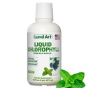 Arte da terra - Clorofila Líquida – Extraído a frio de Wild Non-GMO Alfalfa – Natural Clorofila Liquida – Antioxidante - Suplemento Detox – Aumentar Energia – Alcalizante & Neutralizador de Odor Corpo – 16 floz