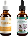 Rejuvica Health Active Rhodiola + Active Adrenal - Apoiar Energia + Stress - Entrega Líquida para Melhor Absorção - Rhodiola, Ashwagandha, Holy Basil & More!