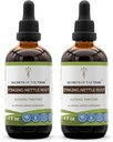 Segredos da tribo Stinging Nettle Root Tintura extrato de álcool, gotas de ervas de alta potência, tintura feita de Stinging Nettle Urtica Dioica Respiratório e Sistema urinário Saúde 2x4 oz