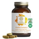 PURE SYNERGY Choline Complex (PURE SYNERGY Choline Complemento Vegan Choline Made with Organic Whole Foods (Organic Whole Foods) Não-GMO Complexo Biodisponível (O) para a gravidez, cérebro e saúde do fígado (60 Tablets)