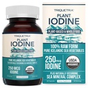 Suplemento de iodo orgânico do complexo vegetal do mar, alimento inteiro e forma cru - Iodine mais Trace Complexo mineral – contém Puro Kelp Islandês Mar, Musgo Irlandês & Bladderwrack (250 mcg)