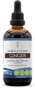 Segredos da Tribe Ginger Tincture Alcohol-Free Extract, Ginger (Zingiber officinale) Secado Raiz 4 OZ
