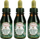 3 Garrafas de Apiario Silvestre Bee Polen & Brasil Green Bee Propolis Liquid - Extrato glicólico-Não Alcoólico, Cera Livre, Açúcar Livre