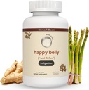 Alívio ácido e indigestão, Alternativa antiácido seguro para refluxo ácido ocasional e azia, Ginger, Curcumina, Spearmint e mais - Phd Doctor-Formulated & Clincially-Studied - 30 Servings