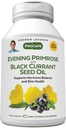 ANDREW LESSMAN Evening Primrose and Black Currant Seed Oil 60 Softgels - Acalma Desconforto físico e Mood Swings Devido ao ciclo menstrual, com Gamma-Linolenic, Ómega-6 ácidos gordos, Sem aditivos