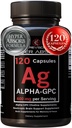 Alpha GPC Supplement & BioPerine for Hyper Absorção - 120 Count, Alpha-GPC 600mg per Serving - Nootropics for Memory, Focus, Energy, & Drive - Choline Supplements to Boost Acetilcoline, Made in USA