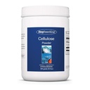 Grupo de Pesquisa em Alergia Pó de Celulose - Pó de Celulose Microcristalina, 2000mg Suplemento de Fibra Insolúvel, Celulose em Pó, Não-Fermentável, Hipoalergênico - 8.8 Oz