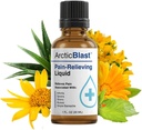 N Labs Arctic Blast Premium Relief Drops de dor tópico – Absorvente rápido DMSO, mentol e cânfora para trás, joelho, ombro, dor articular e muscular – fórmula de escorrimento de resfriamento – Made in USA – 1 fl oz
