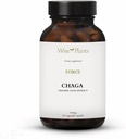Suplemento de cogumelos Chaga. Extrato duplo, Corpo Puro Frutador, 30% Polissacarídeos, 500 mg, 120 vegecaps (fornecimento de 120 dias). Pode suportar a função digestiva saudável, imune e promover a saúde do coração.