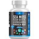 Silicon Sea Moss Black Seed Oil Ashwagandha Bladderwrack Burdock - 60 Contagem
