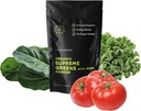 Orgânico Superfood Verdes Pó com HSH, para Gut Saúde, Digestão, Suporte Imune, Energia, e mais (Açúcar livre, Não-GMO, Keto, Vegan), 60 Servings, 30 dia de fornecimento