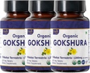 Gokshura 120 Comprimidos □ Tribulus Terrestris (Gokshura) □ USDA Organic Certified □ Suporta Imunidade e Força