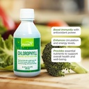 Funat Clorophyll Plus Líquido com sabor natural de hortelã - Nutriente-Rich Suplemento Verde para Energia e Bem-Estar, Fácil de Usar Gotas - 8.1 FL OZ