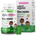 Wild & Organic Irish Sea Moss Gummies for Kids 800mg - Suporte imunológico com Bladderwrack - Vegan Sea Moss Gel Chews para suporte geral - 60 Não-GMO Seamoss Gel Gummies