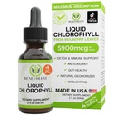 Benevolt Chlorophyll Liquid Drops – Detox & Imune Support, Desodorizador Interno e Suplemento de Saúde da Pele, Não-GMO, Fornecimento de 4 meses, sabor de hortelã natural