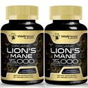 Lions Mane Supplement Cápsulas - 120 Count - Suplemento de Cogumelo, Suplemento de Cérebro para Memória e Foco, Cápsulas de Cognitivo e Imune - Suporte, Suplemento de Foco - 2 Pack