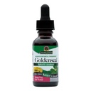 Resposta da natureza Raiz de selo dourado com álcool orgânico 1 Onça de fluido □ Promove o bem-estar geral