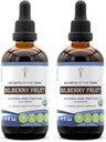 Segredos da Tribe Bilberry Fruit Alcohol-Free Liquid Extract, USDA Organic Bilberry (Vaccinium Myrtillus) Seco Fruit Tinture Supplement (2x4 FL OZ)