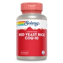 SOLARAY Red Yeast Rice Plus CoQ-10 & No-Flush Niacin Vitamina B-3, saudável coração e suporte cardiovascular, não irradiado & Citrinina livre, 60 dias de garantia de volta dinheiro, 90 Servings, 90 VegCaps