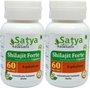 Cápsulas de Shilajit Forte 500 mg. 60 Veg. Cápsula de Shilajit (Asphaltum) Extrair Cápsulas para Homens e Mulheres