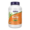 AGORA Suplementos, Kelp Pó, Certified Organic, Excelente Fonte de Iodo, Super Verde, 8-Ounce