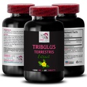 Energia de Stamina - TRIBULUS TERRESTRIS EXTRACTS - Energia para Atividade, Fórmula de Apoio Energético, Apoio Energético Activo, Impulso Energético Baseado em Plantas, Poder Activo, Exercício Activo Boost 1 Garrafa 60 Comprimidos
