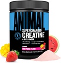 Animal Supercarregado Creatina Pó - Creatina saborosa Mono-hidratado Melhorado com Betaine Anhydrous, PurpleForce & Senactiv, Força, Endurance, Recuperação muscular para homens e mulheres – Fruit Punch, 300g