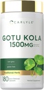 Carlyle Gotu Kola Cápsulas 1500mg □ 180 Contagem Não-GMO, Extrato de Erva Tradicional
